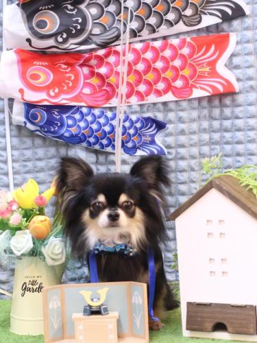 20230521アリューくん